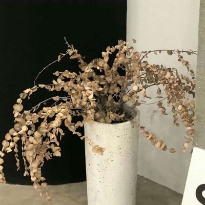 安陆福瑞交流群